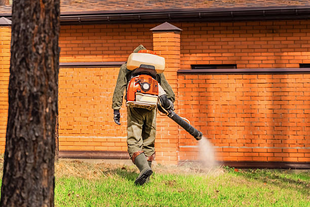 Trusted Mosquito Control service in Huntingdon, TN - Nex Pest Control